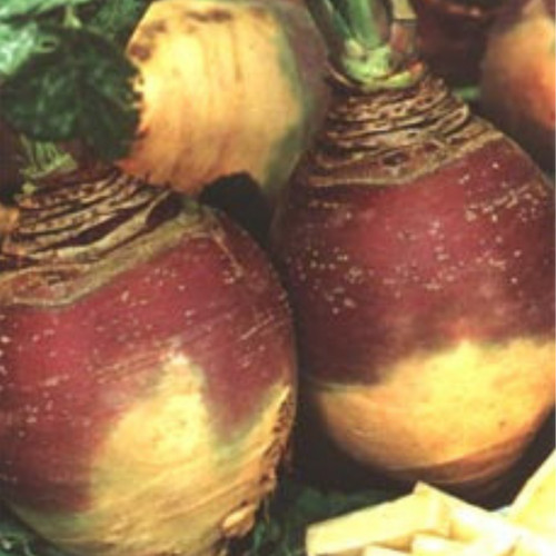 Swede best all 500 - swede,
