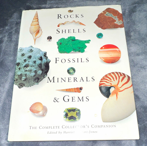 Rocks shells fossils minerals - shells,