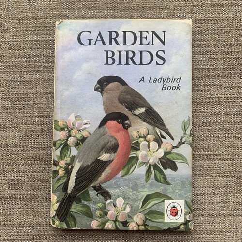 Vintage ladybird book - vintage,