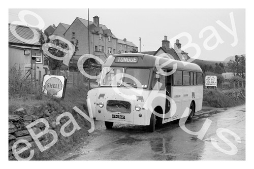 Bus photograph sutherland - photograph,