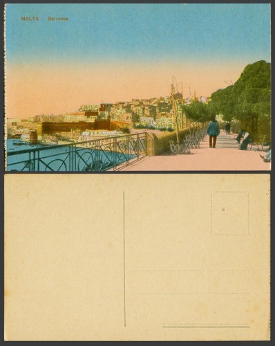 Malta maltese old colour - maltese,
