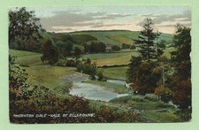 [7210] Yorkshire Colored