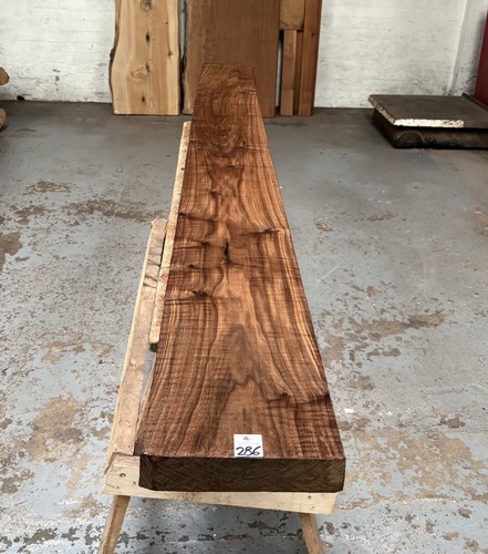 American walnut - american,