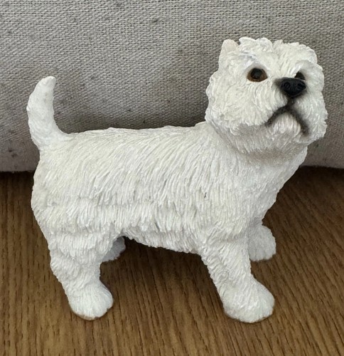 Westie dog west highland - dog,