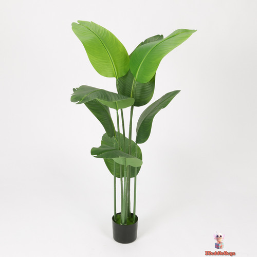 Traveler palm sleek black - traveler's,