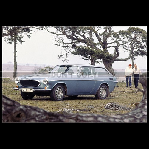 Photo 006479 volvo 1800 es - photo,