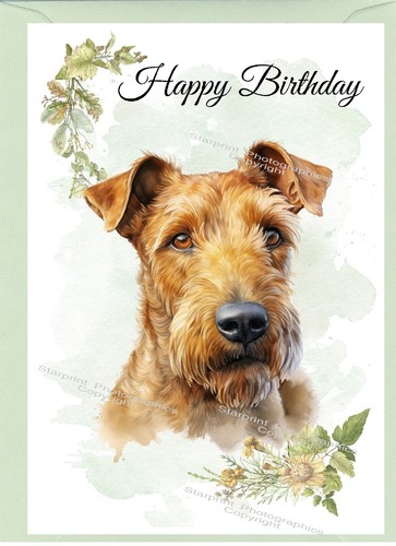 Irish terrier dog - terrier,