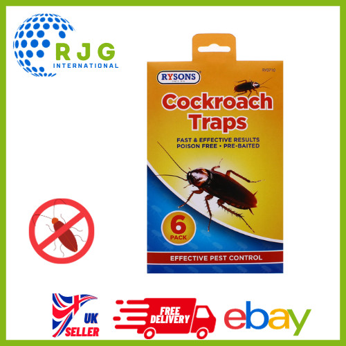 cockroach