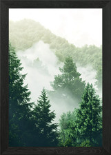 Misty Forest Landscape Framed