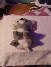 Koala Bear. Small Size 6 Inches High.  Made By T Y . In  Good Order.