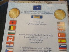 Genuine nato medal - nato,