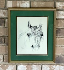 Arabian Stallion Sketch-Steve