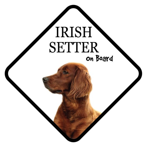 Irish setter board car sign - on,