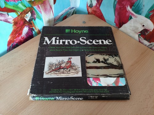 Rare hoyne mirro scene - mirro,