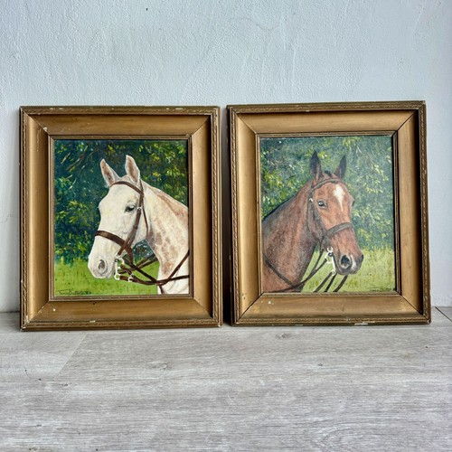 Pair vintage horse oil - vintage,