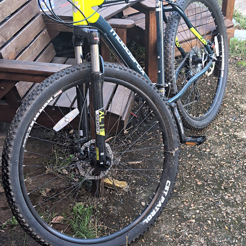 Muddyfox colossus409 sn09 - muddyfox,