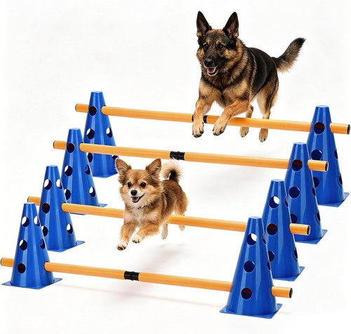 Piece dog agility - dog,