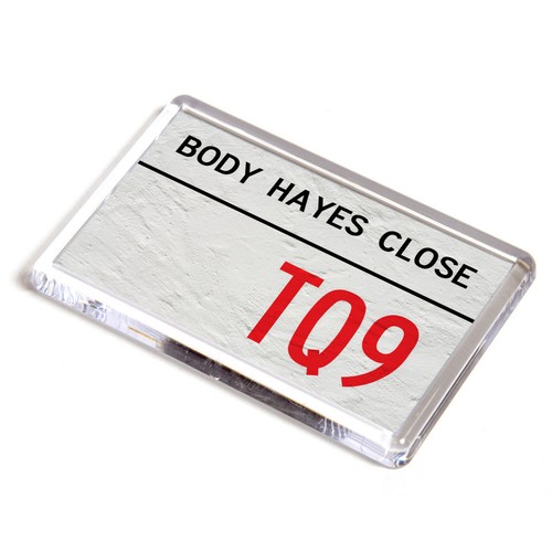 Fridge magnet body hayes - fridge,