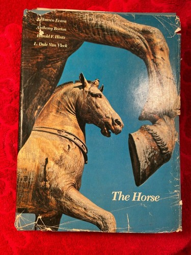 The horse warren - the,