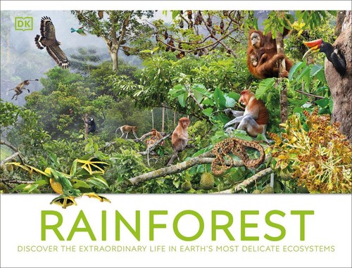 Rainforest hardcover - dk,