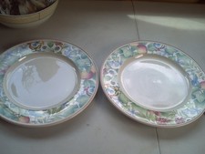 Villeroy And Boch Lot of 2 CATALINA large dinner plates or under plates 12.5"