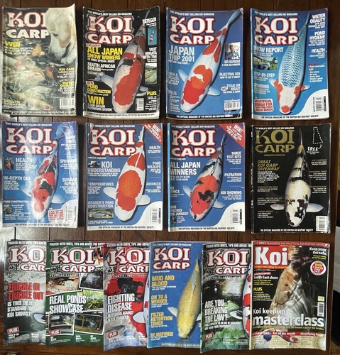 Koi carp pond fish - fish, keeping
