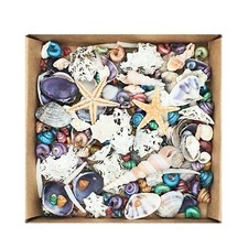 Tiny Mixed Craft Seashells 150+ Small Micro Sea Shells + 2 MINI STARFISH (#SMM)