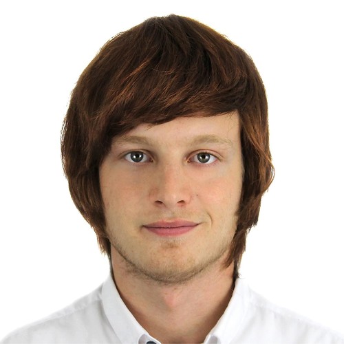 Mens brown wig adult boyband - wig,
