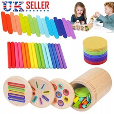 Color Sorting Montessori