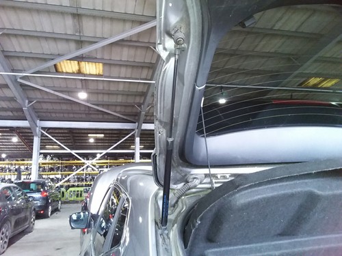 Boot tailgate support strut - boot,