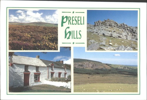 Preseli hills pembrokeshire - preseli,
