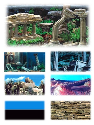 Aquarium fish tank vivarium - fish,