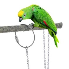 50cm leash parrot - 50cm, flying