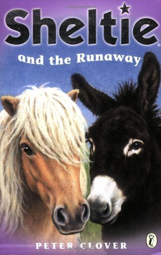 Sheltie and the runaway - and,