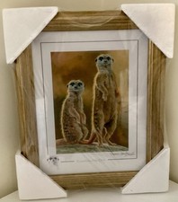 Stephen Gayford Limited Edition Print NEW Tags 10”X 13” Wild Life Print Meerkats