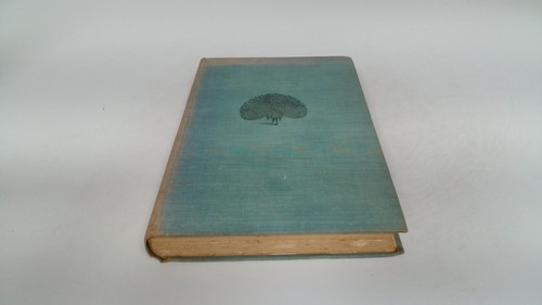 The tree that sat - the,