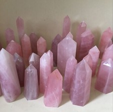 5PCS 40-90mm Natural Rose