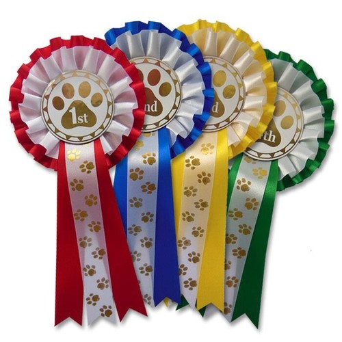Dog show rosettes 1st 4th - show,