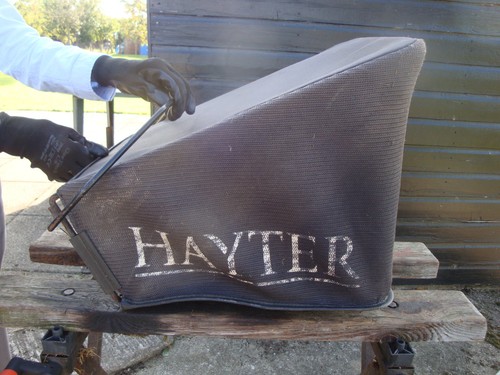 Rare early hayter harrier - harrier, 41