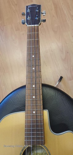 Clearwater baritone electric - clearwater,