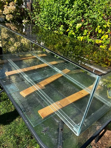 Fish discus tank - fish/discus,