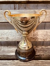 🏆 Silver Trophy 1961 Army