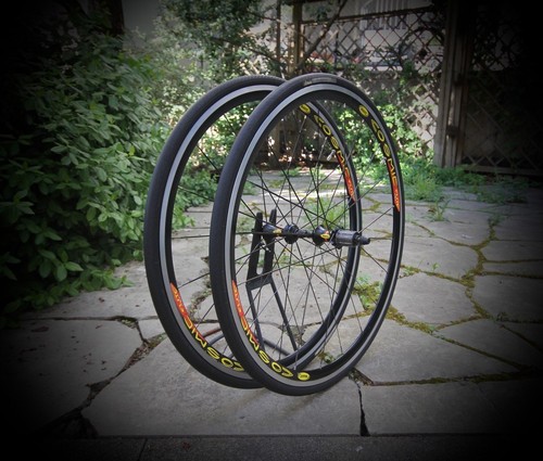 Mavic cosmic elite wheel - wheel, /