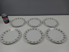 6 x Ridgway Fanfare WHITE MIST