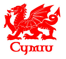 WELSH CYMRU DRAGON CAR CARAVAN