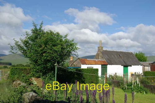 Photo 6x4 garden - 6x4,