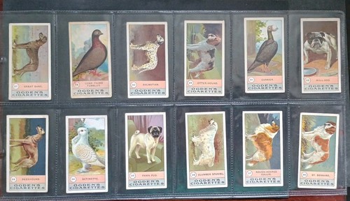Ogdens fowls pigeons - ‘fowls, &