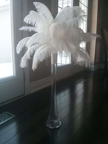 White ostrich feather - 20,