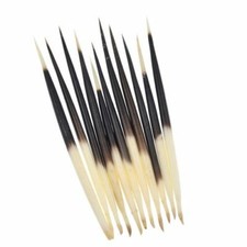 10 Pcs Porcupine Quills Work