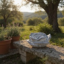 Cement Garden Pretty Rose